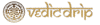 VedicDrip